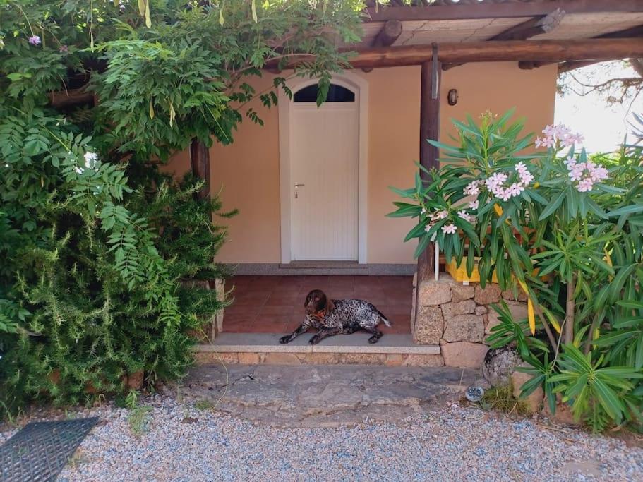 Suite Mirialveda San Pantaleo Luaran gambar